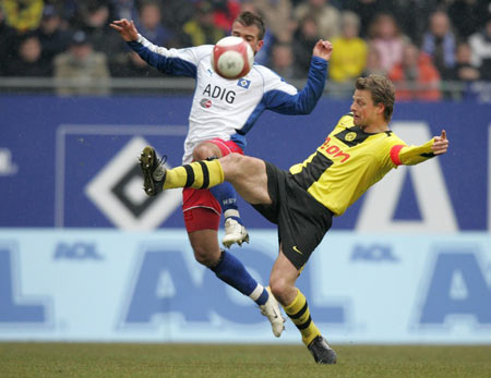 顿的球迷 顿的球迷